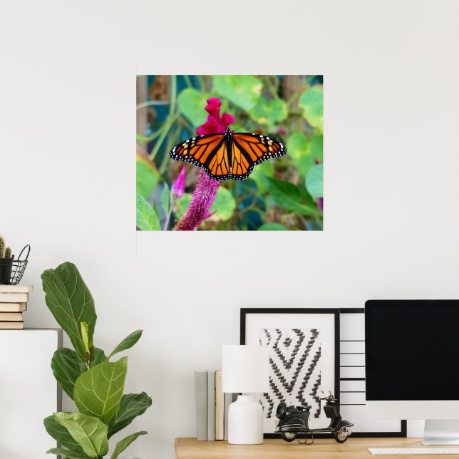 Affiche Papillon monarque (Bureau à domicile)