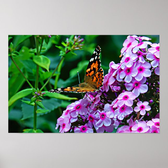 Affiche Papillon Monarque dans les Fleurs (Devant)