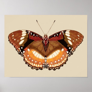 Affiche Papillon Monarque en Brown, rouille et crème