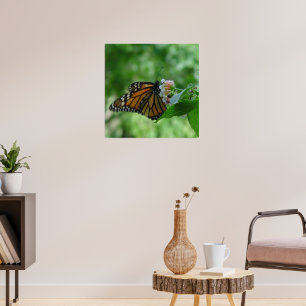 Affiche Papillon Monarque Fluttering sur Flower