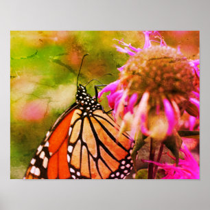 Affiche Papillon Monarque Sur Fleur Art Décoré