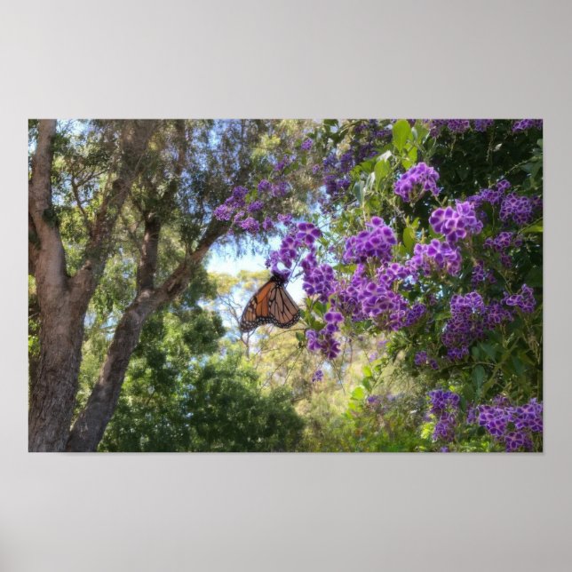 Affiche Papillon Monarque sur Fleurs Violettes (Devant)