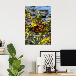 Affiche Papillon monarque sur une fleur par la nature de l