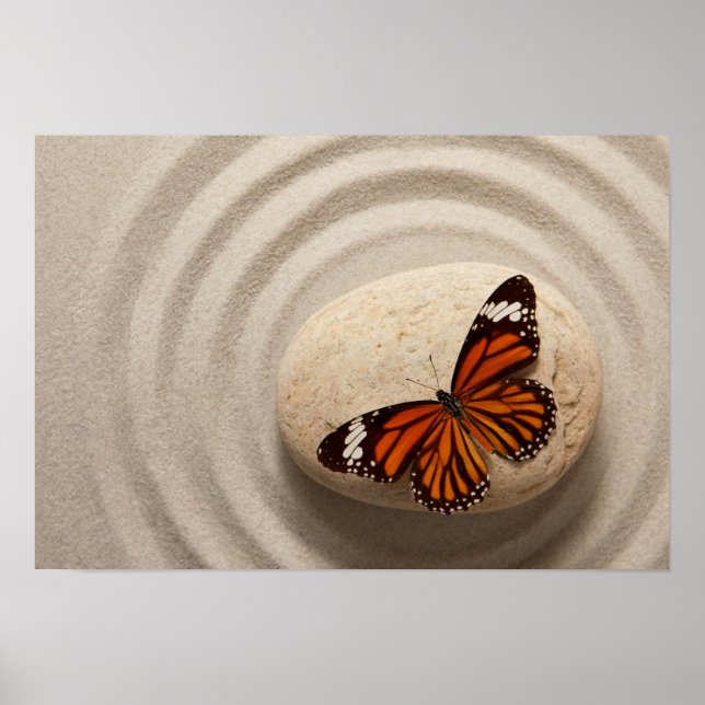 Affiche Papillon Monarque sur une pierre dans un jardin ze (Devant)