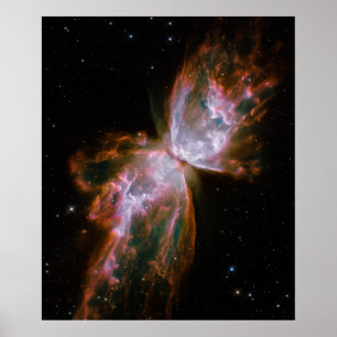 Affiche Papillon Nebula