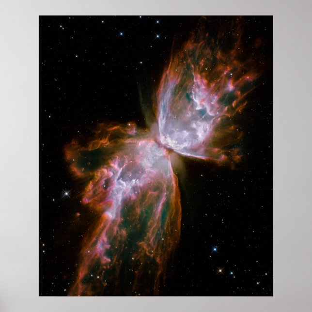 Affiche Papillon Nebula (Devant)
