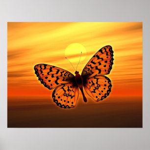 Affiche Papillon orange