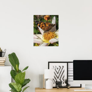 Affiche Papillon Painted Lady sur Dahlia blanc