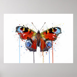 Affiche Papillon Paon-du-jour