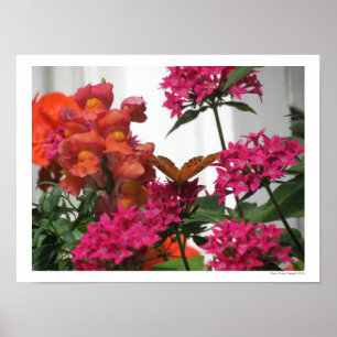 Affiche Papillon parmi les fleurs roses et orange
