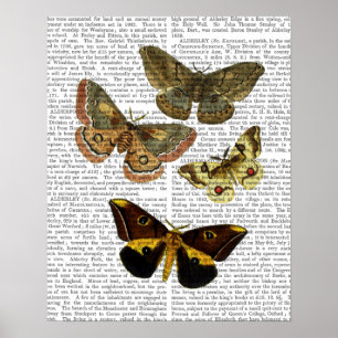Affiche Papillon Planche 4
