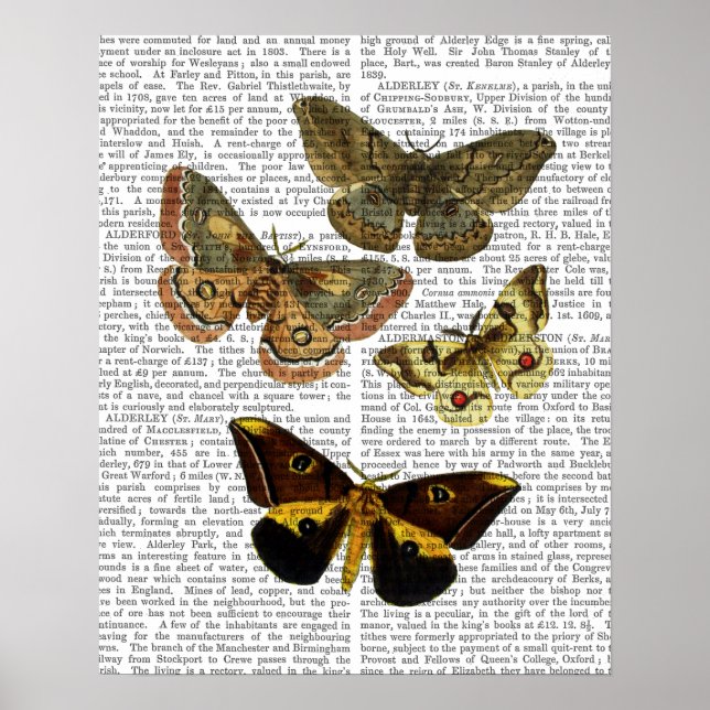 Affiche Papillon Planche 4 (Devant)