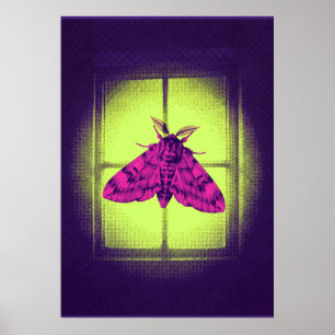 Affiche Papillon rose sur une fenêtre vert lime lumineuse