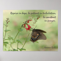 Papillon sur Fleur sauvage, Verse Romans 12:12
