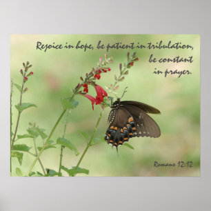 Affiche Papillon sur Fleur sauvage, Verse Romans 12:12