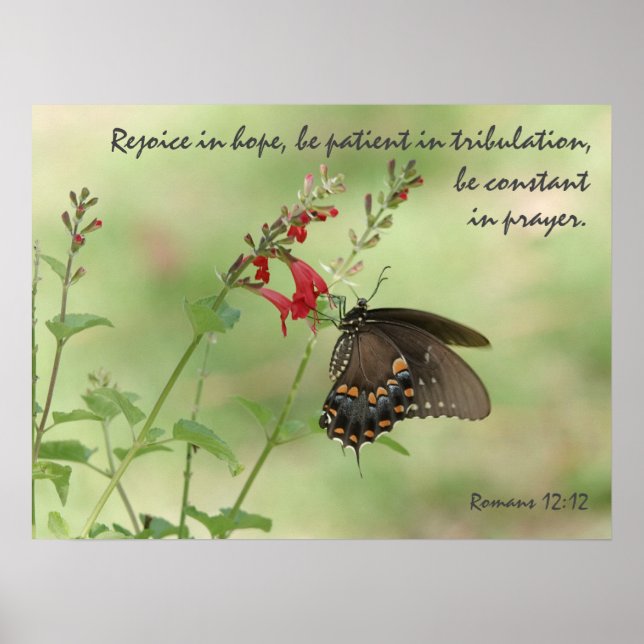 Affiche Papillon sur Fleur sauvage, Verse Romans 12:12 (Devant)