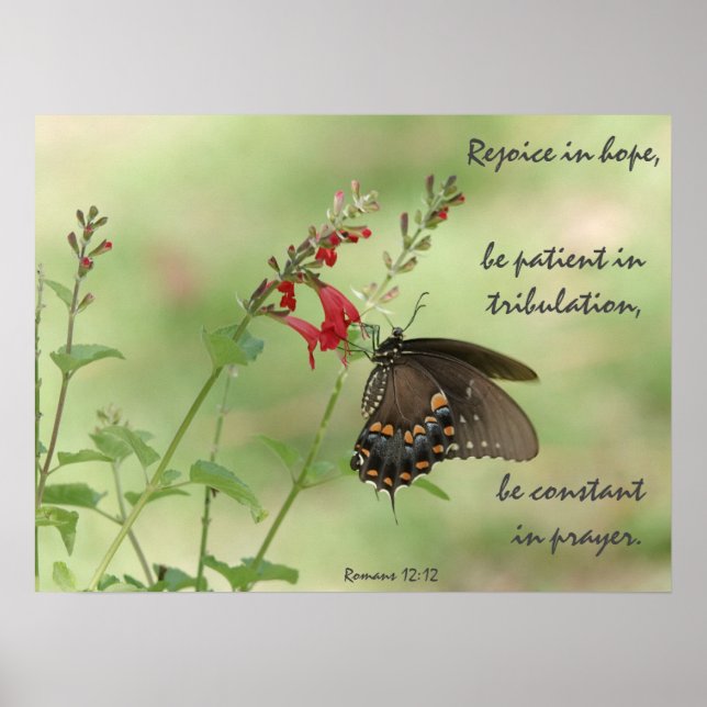 Affiche Papillon sur Fleur sauvage, Verse Romans 12:12 (Devant)