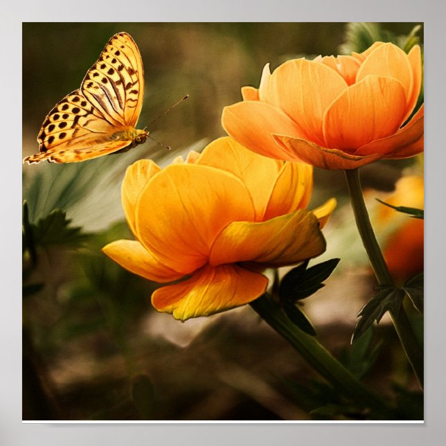 Affiche Papillon sur l'affiche des fleurs orange (Devant)