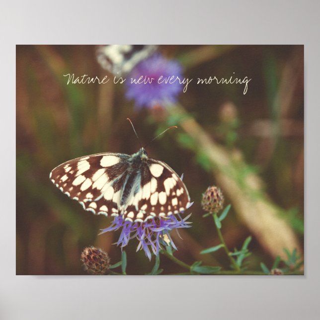 Affiche Papillon sur une fleur bleue (Devant)