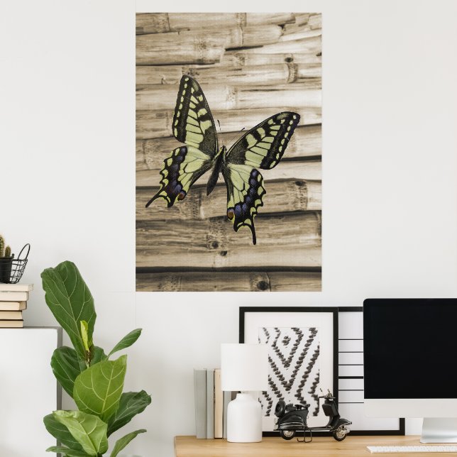 Affiche Papillon Swallowtail (Bureau à domicile)