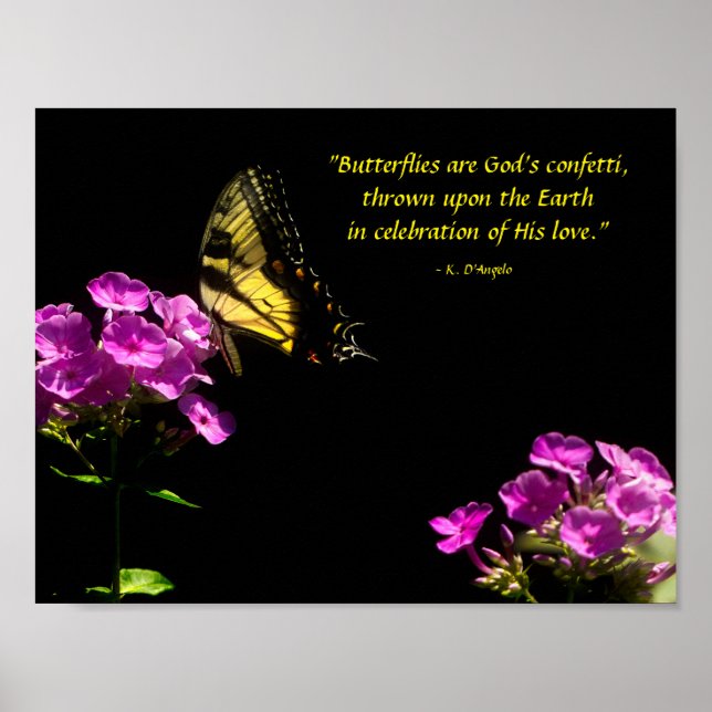Affiche Papillon swallowtail et phlox sauvage (Devant)