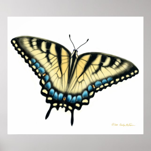 Affiche Papillon Tiger Swallowtail Print (Devant)