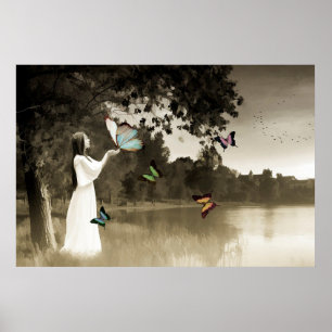 Affiche Papillons