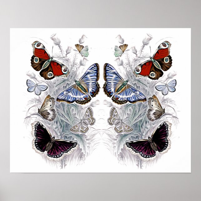 Affiche papillons (Devant)