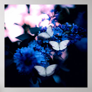 Affiche Papillons blancs Fleurs bleues, papillon