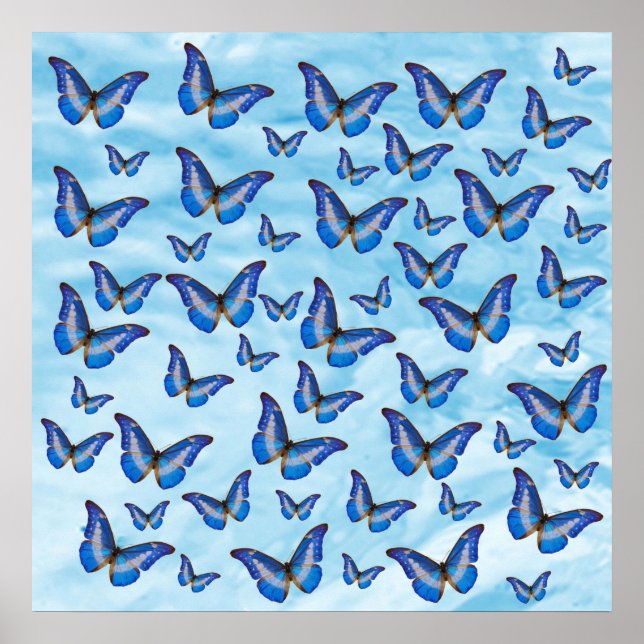Affiche Papillons bleus (Devant)