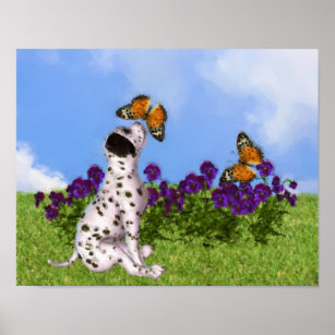 Affiche Papillons de Chien Dalmatien Peinture photo art Ch