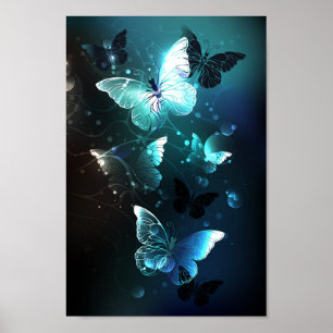 Affiche Papillons de nuit