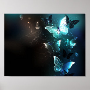 Affiche Papillons de nuit