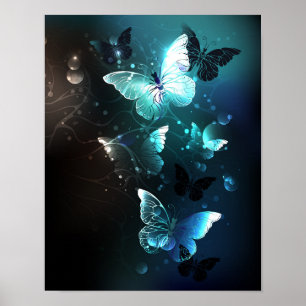 Affiche Papillons de nuit à la menthe