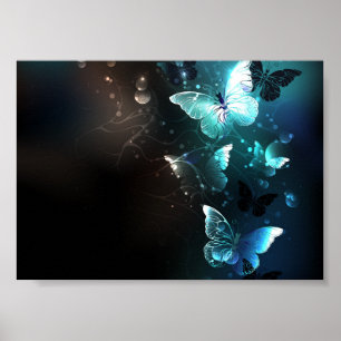 Affiche Papillons de nuit à la menthe