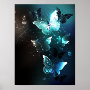 Affiche Papillons de nuit à la menthe