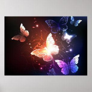 Affiche Papillons de nuit lumineux