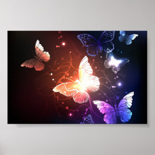 Affiche Papillons de nuit lumineux