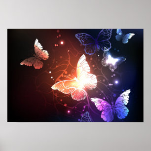 Affiche Papillons de nuit lumineux