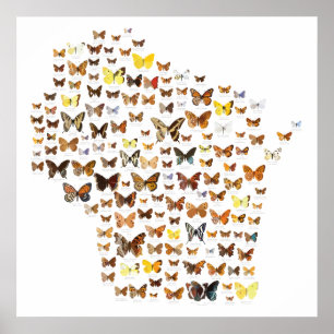 Affiche Papillons du Wisconsin