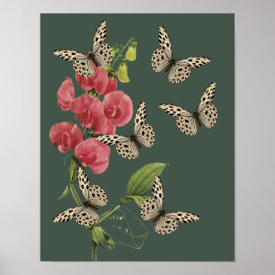 Affiche Papillons Et Fleur De Pois Doux