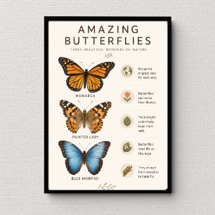 Affiche Papillons Incroyables Éducatif