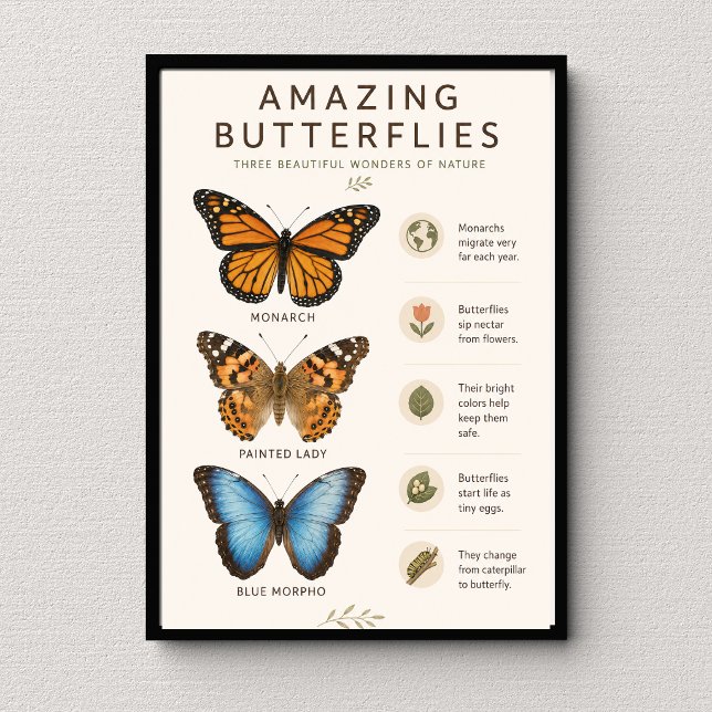 Affiche Papillons Incroyables Éducatif (Créateur téléchargé)