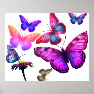 Affiche Papillons se nourrissant et volant autour de color