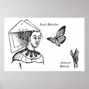 Affiche Papillons sociaux
