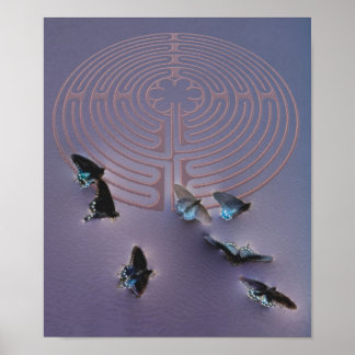 Affiche Papillons sur le Labyrinthe