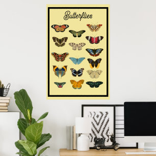 Affiche Papillons Vintage
