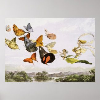 Affiche Papillons vintages & Fée Vieux art d'illustration