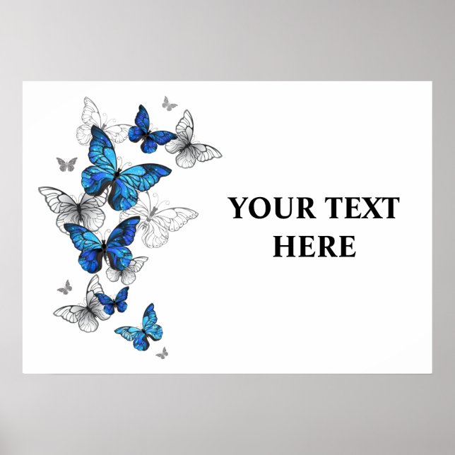 Affiche Papillons volants bleus Morpho (Devant)