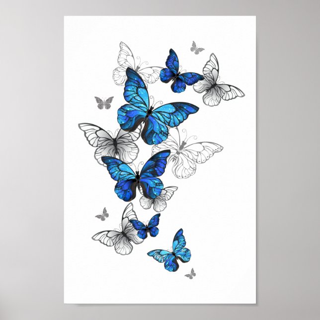 Affiche Papillons volants bleus Morpho (Devant)